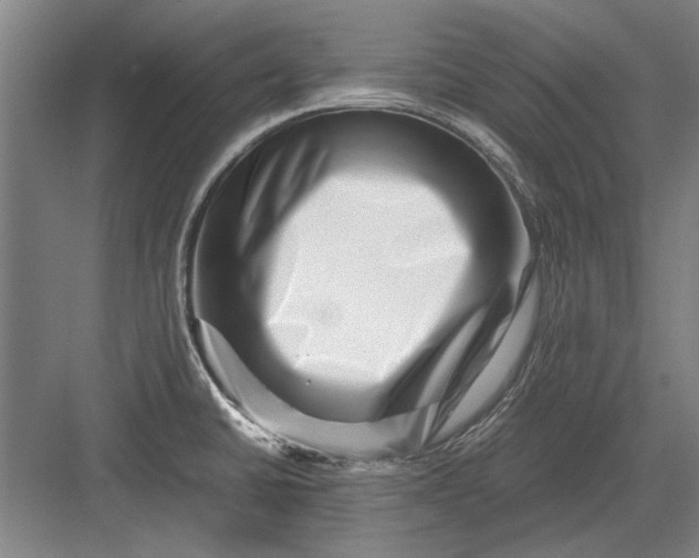 X0000082951430200702152228