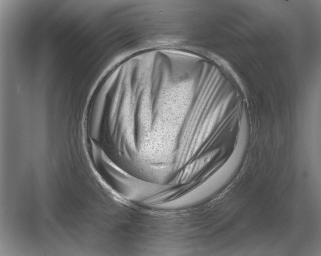X0000082951432200702152228