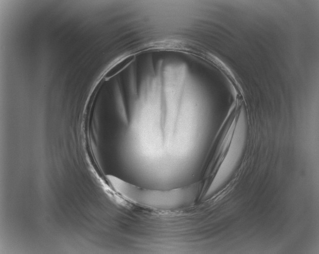 X0000082951434200702152228