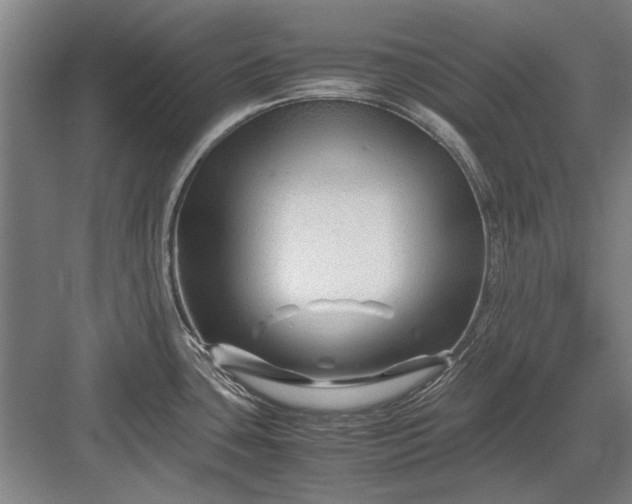 X0000082951435200702152228