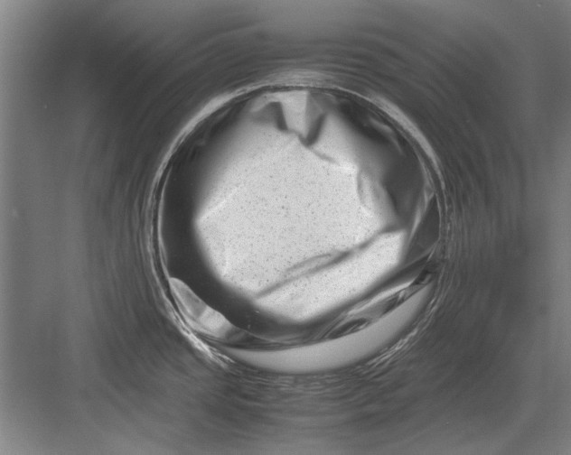 X0000082951437200702152228