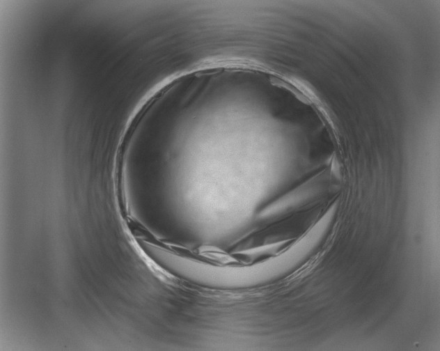X0000082951438200702152228