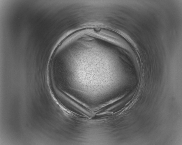 X0000082951440200702152228