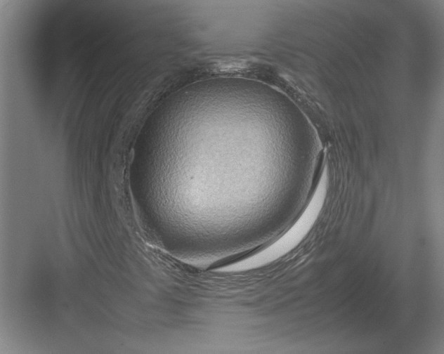 X0000082951441200702152228
