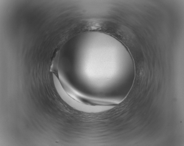 X0000082951442200702152228