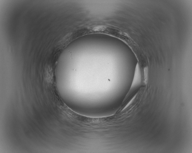 X0000082951443200702152228