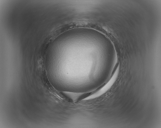 X0000082951445200702152228