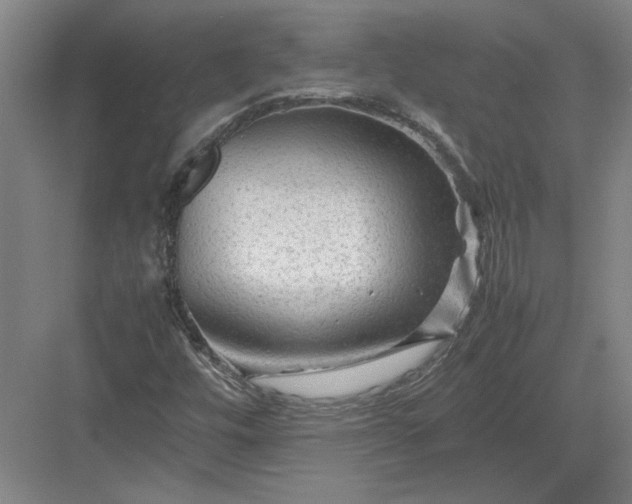 X0000082951448200702152227