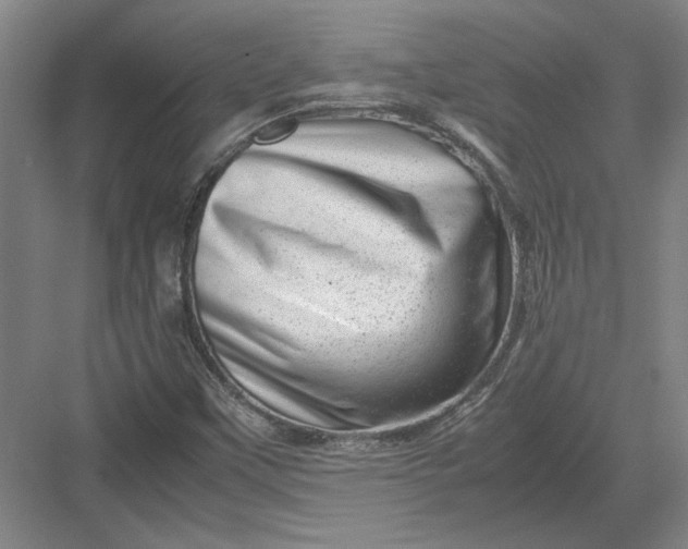 X0000082951451200702152227