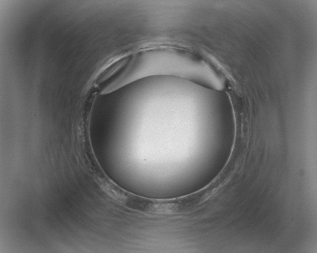 X0000082951453200702152227