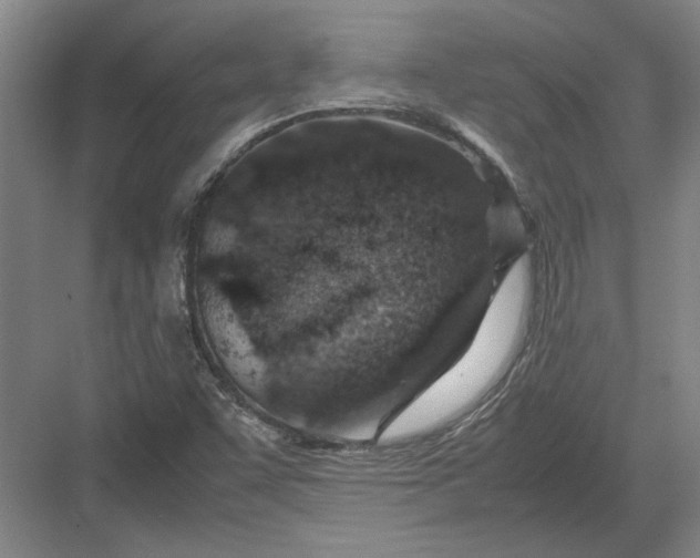 X0000082951455200702152227