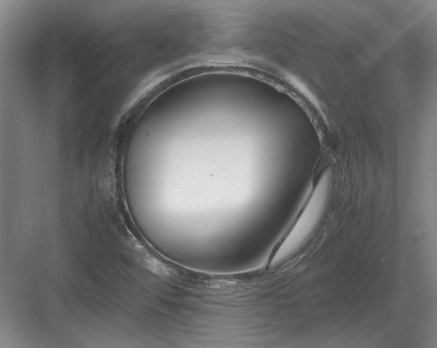 X0000082951456200702152227