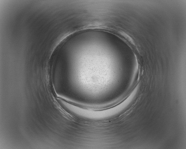 X0000082951458200702152227