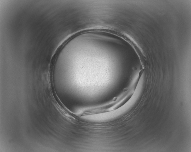X0000082951460200702152227