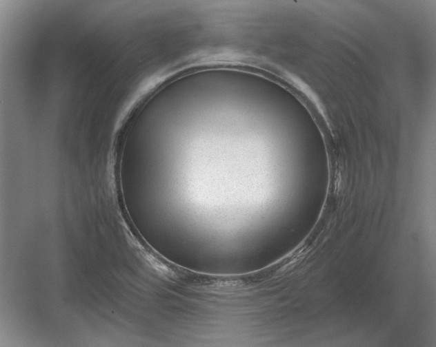 X0000082951464200702152227
