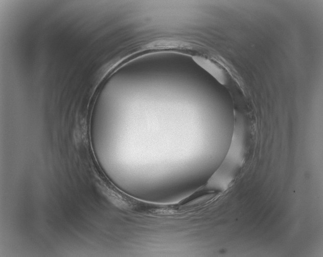 X0000082951465200702152227
