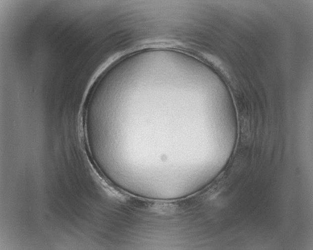 X0000082951466200702152227