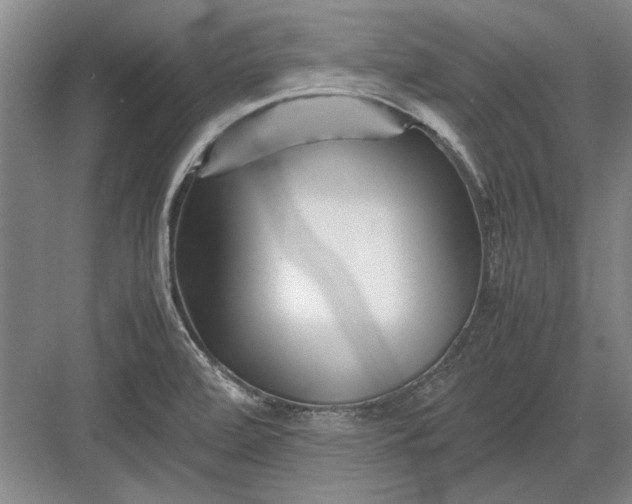 X0000082951472200702152227