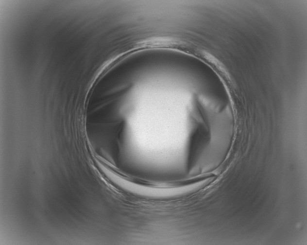 X0000082951473200702152227