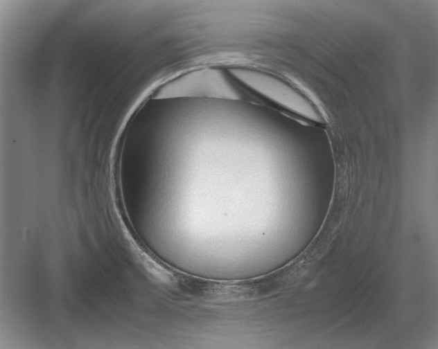 X0000082951475200702152227