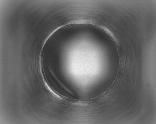 X0000082951476200702152227