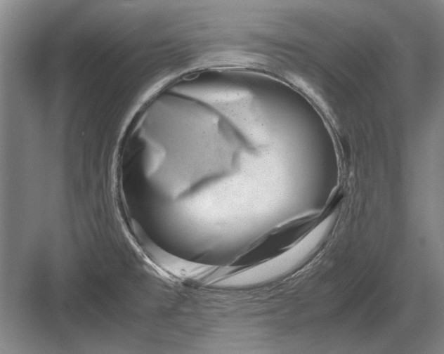 X0000082951477200702152227
