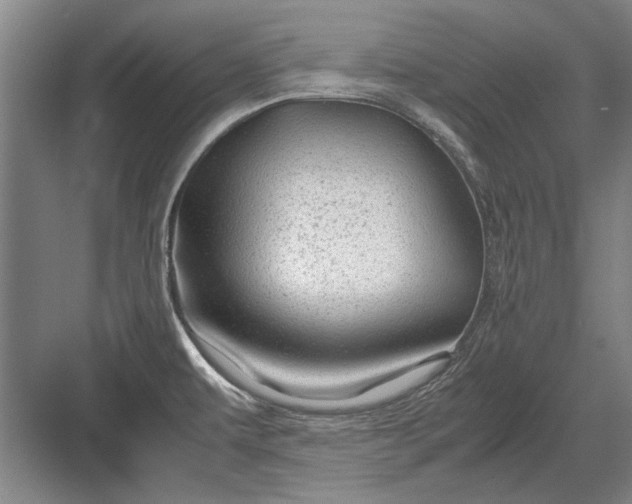 X0000082951479200702152227