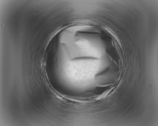 X0000082951481200702152227