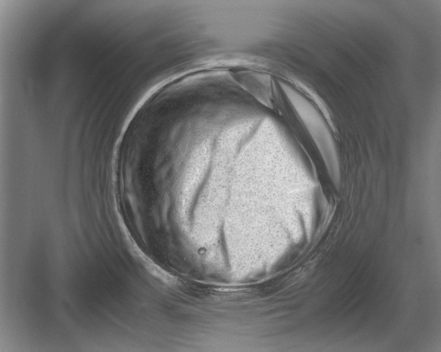 X0000082951483200702152227