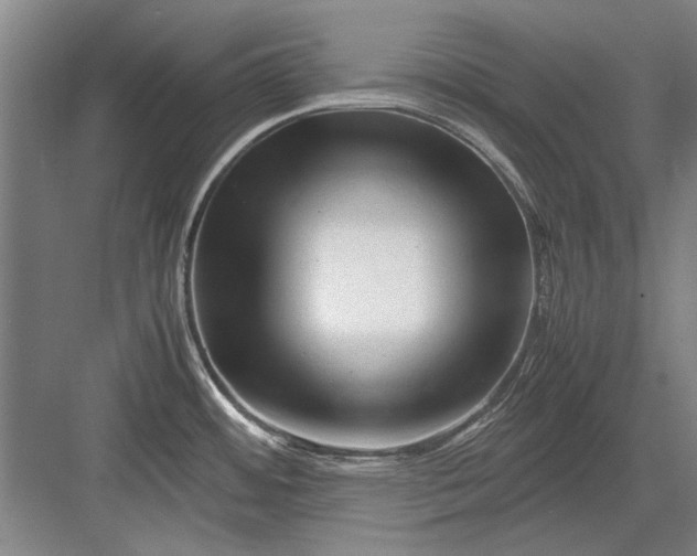 X0000082951484200702152227