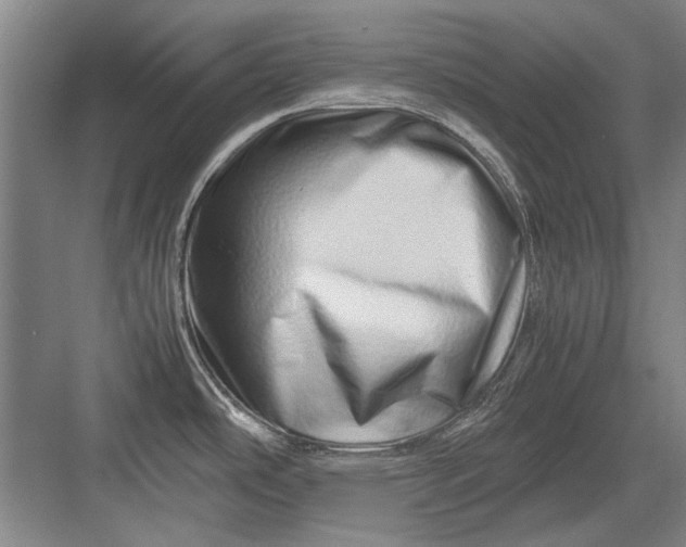 X0000082951486200702152227