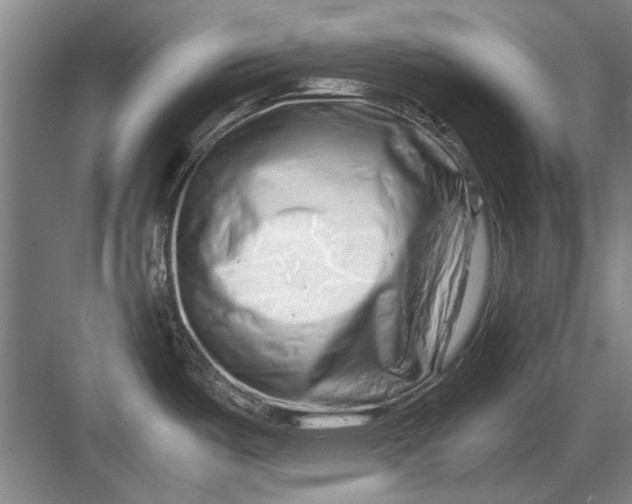 X0000082951487200702152227