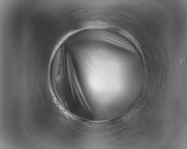 X0000082951488200702152227