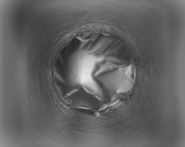 X0000082951489200702152226