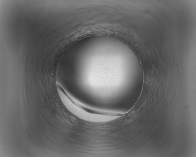 X0000082951490200702152226