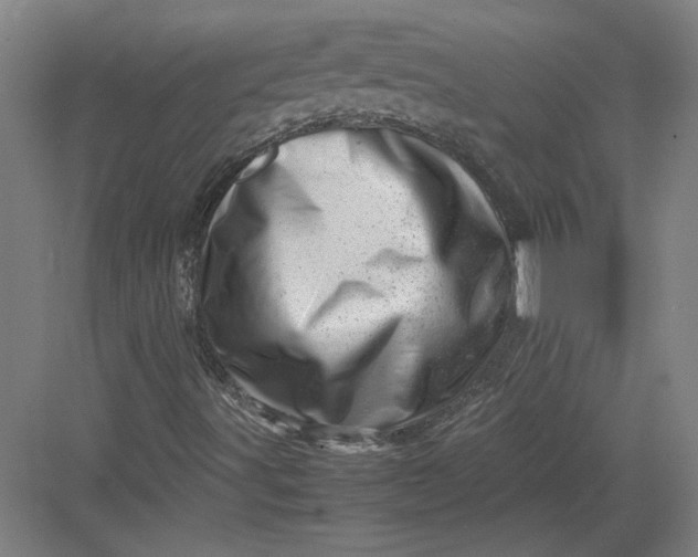 X0000082951491200702152226