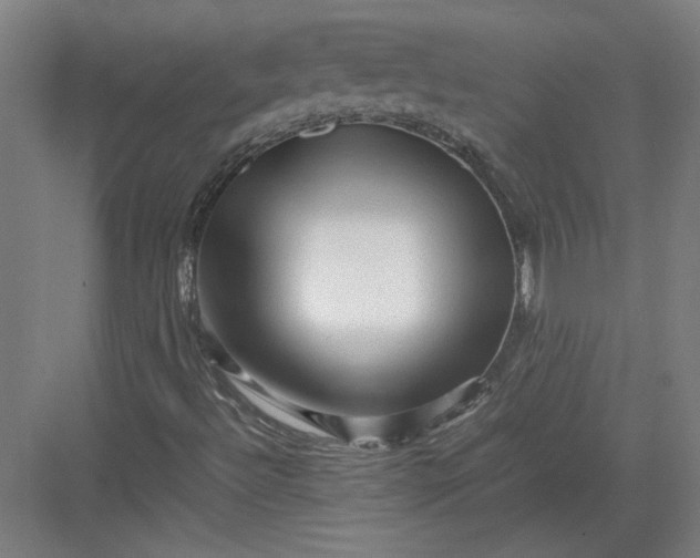 X0000082951492200702152226