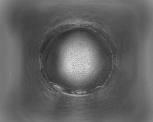 X0000082951493200702152226