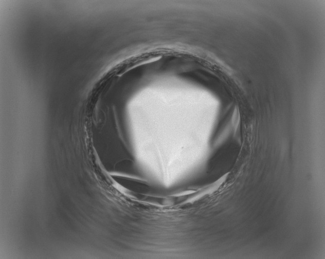 X0000082951496200702152226