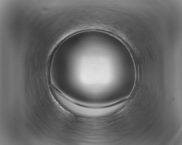 X0000082951500200702152226