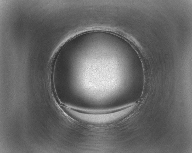 X0000082951504200702152226