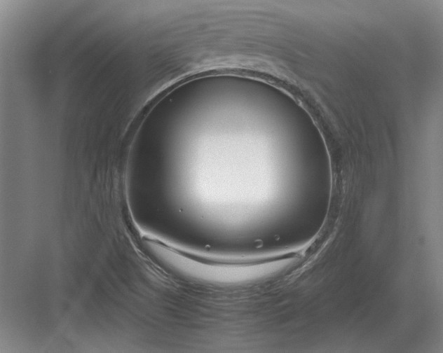 X0000082951505200702152226