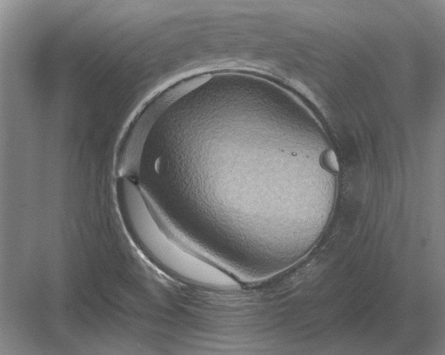 X0000082951508200702152226