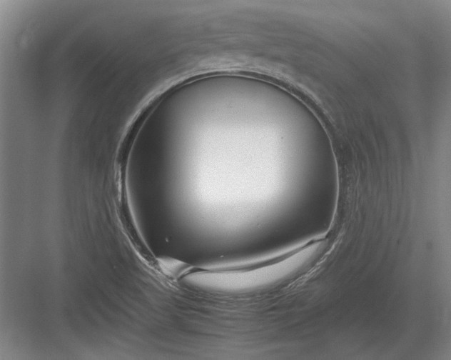 X0000082951509200702152226