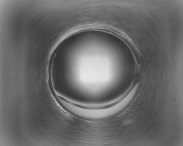 X0000082951512200702152226