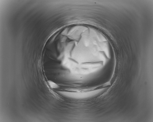 X0000082951513200702152226
