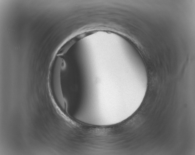 X0000082951518200702152227