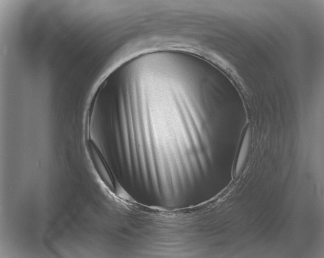 X0000082951520200702152227