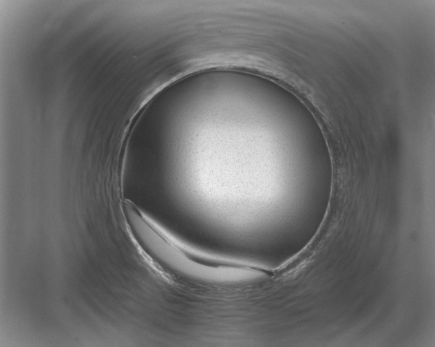 X0000082951521200702152227