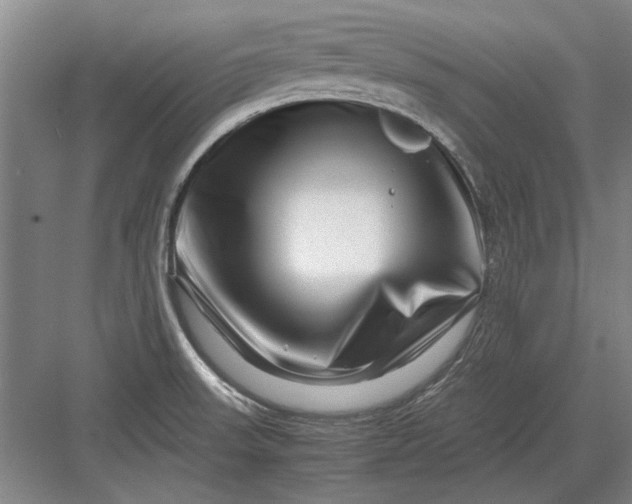X0000082951523200702152227